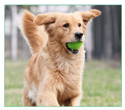 Spiky Squeaker Ball, TPR Dental Dog Chew Toy