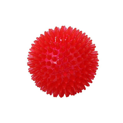 Spiky Squeaker Ball, TPR Dental Dog Chew Toy
