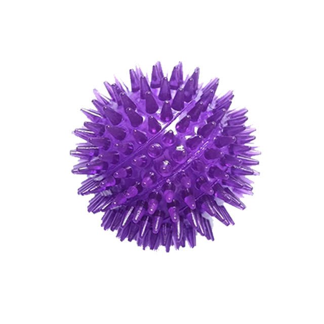 Spiky Squeaker Ball, TPR Dental Dog Chew Toy