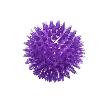 Spiky Squeaker Ball, TPR Dental Dog Chew Toy