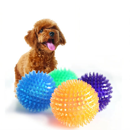 Spiky Squeaker Ball, TPR Dental Dog Chew Toy