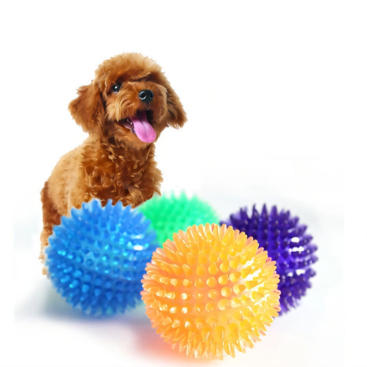 Spiky Squeaker Ball, TPR Dental Dog Chew Toy