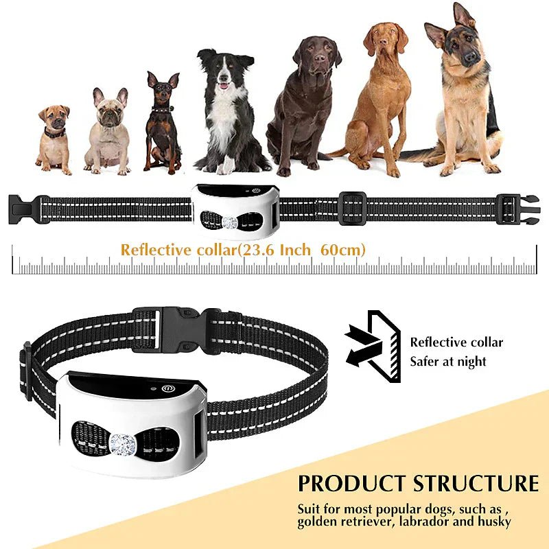 Training Collar & Wireless Fence, 2-in-1, IP65, 300m Dog Training