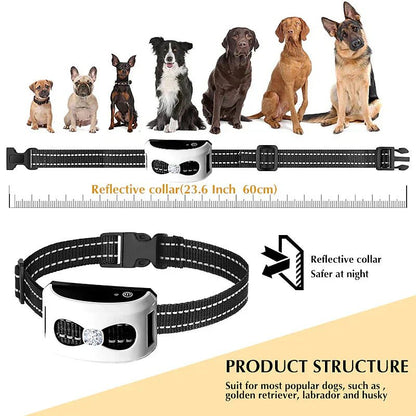 Training Collar & Wireless Fence, 2-in-1, IP65, 300m Dog Training