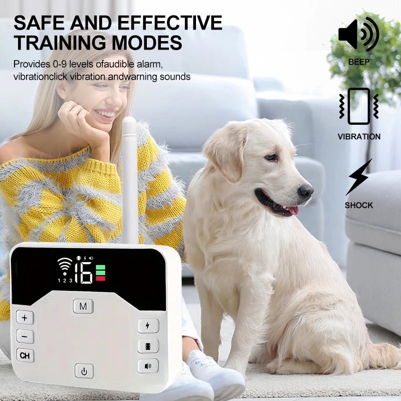 Training Collar & Wireless Fence, 2-in-1, IP65, 300m Dog Training