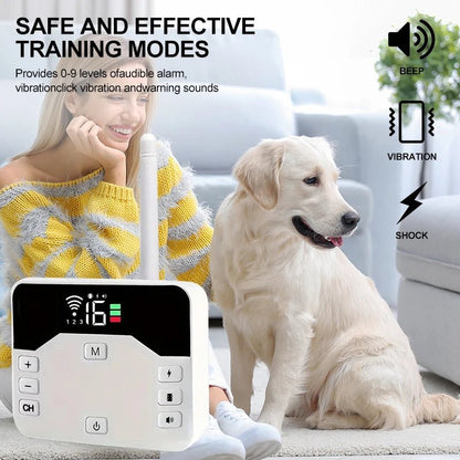 Training Collar & Wireless Fence, 2-in-1, IP65, 300m Dog Training