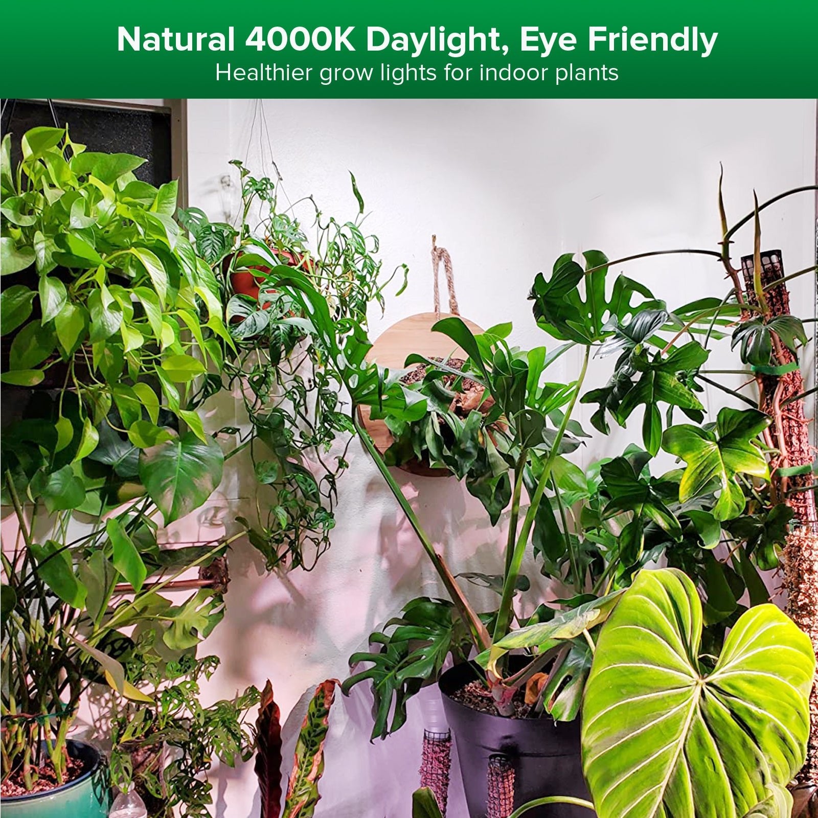 LED Grow Light, 60W, Folding Wings, Indoor Plants