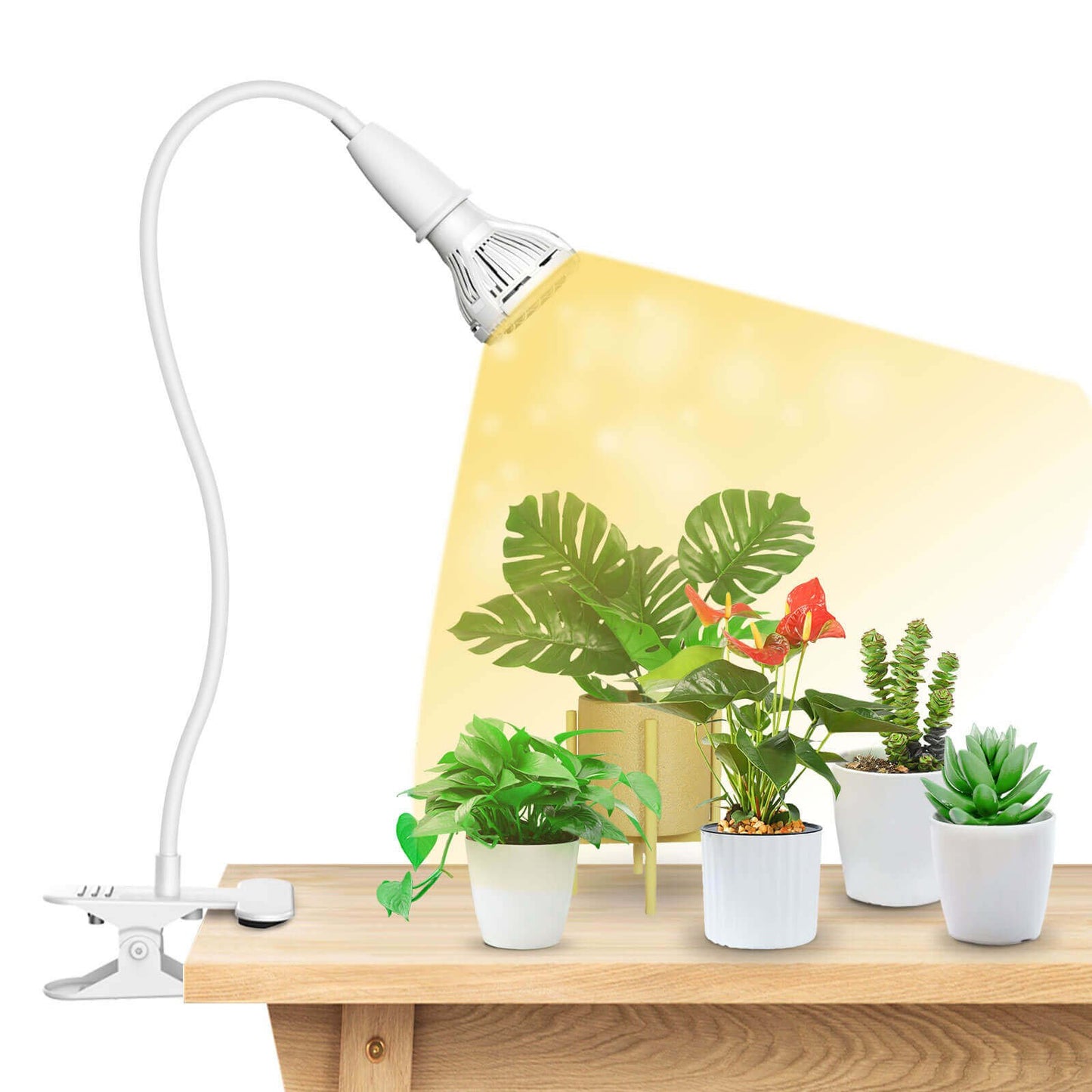 10W LED Grow Light, Clip-on, Full Spectrum Plant Light