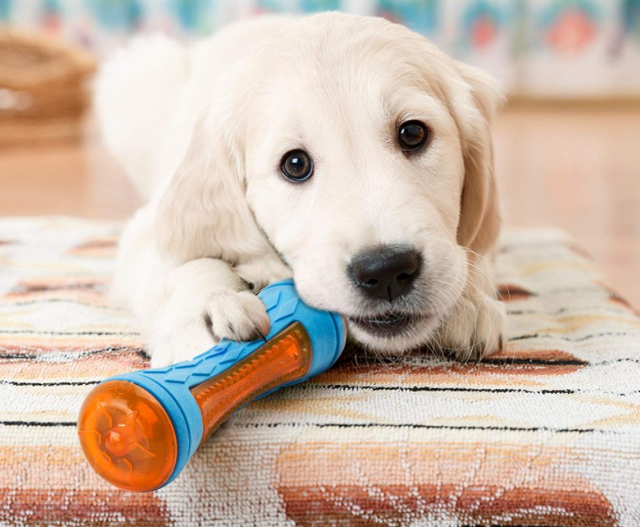 Interactive Dog Toy, Natural Rubber Durable Chew Dental Cleaner