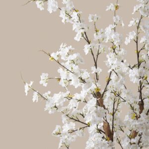Lifelike Black Faux Blossom Tree, 63 Inch Artificial for Living Room, Elegant Home Decor, No Watering Needed Vase Not Included