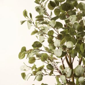 Lifelike Eucalyptus Faux Tree, 63 Inch Artificial for Entryway, Minimalist Home Decor, Maintenance Free Vase Not Included