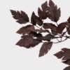 Lifelike Plum Cimicifuga Ramosa Leaves Faux Greenery, 31 Inch Artificial Plant for Modern Fall Decor, No Watering Needed with Vase