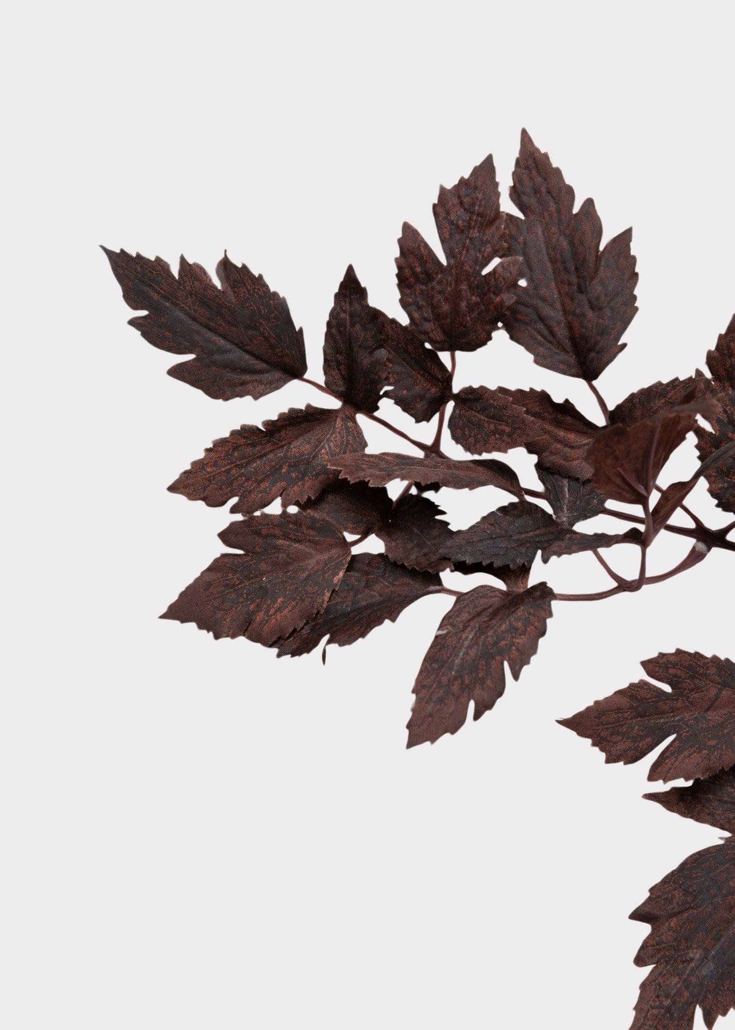 Lifelike Plum Cimicifuga Ramosa Leaves Faux Greenery, 31 Inch Artificial Plant for Modern Fall Decor, No Watering Needed with Vase