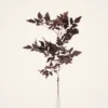 Lifelike Plum Cimicifuga Ramosa Leaves Faux Greenery, 31 Inch Artificial Plant for Modern Fall Decor, No Watering Needed with Vase