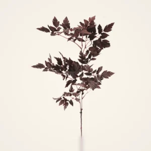 Lifelike Plum Cimicifuga Ramosa Leaves Faux Greenery, 31 Inch Artificial Plant for Modern Fall Decor, No Watering Needed with Vase