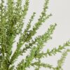 Lifelike Green Sedum Artificial Plant Arrangement, 12 Inch for Living Room, No Watering Needed, Maintenance Free with Vase