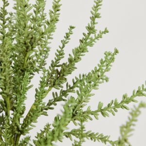 Lifelike Green Sedum Artificial Plant Arrangement, 12 Inch for Living Room, No Watering Needed, Maintenance Free with Vase