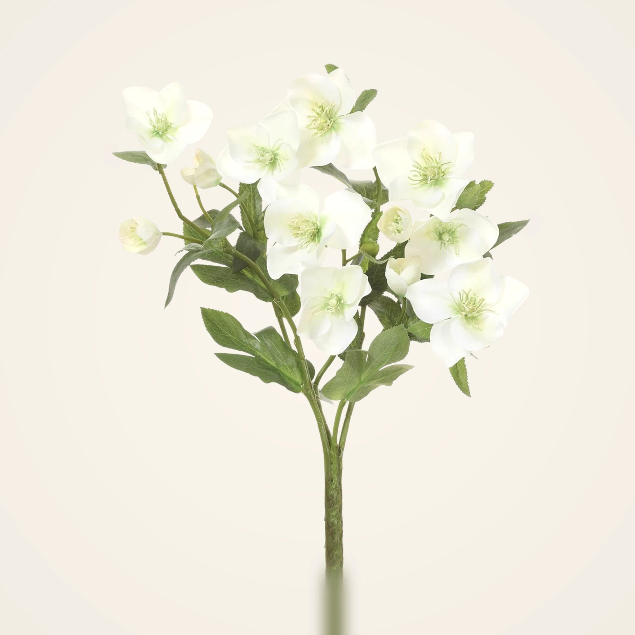 Lifelike Cream Green Helleborus Faux Flower Arrangement, 14 Inch for Living Room Elegant Decor, No Watering Needed