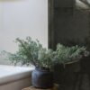 Lifelike Seeded Eucalyptus Faux Floral Stems, 27 Inch Artificial Greenery for Living Room, Fall Decor, Maintenance Free with Vase