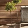 Lifelike Thyme Herb Faux Potted Plant - 13 Inch Artificial Greenery for Kitchen or Living Room, No Watering Needed