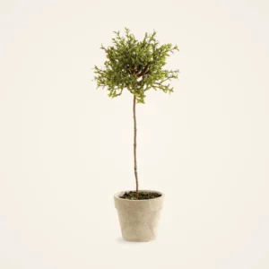 Lifelike Thyme Herb Faux Potted Plant - 13 Inch Artificial Greenery for Kitchen or Living Room, No Watering Needed