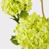 Lifelike Green Snowball Flower Stems, 43.5