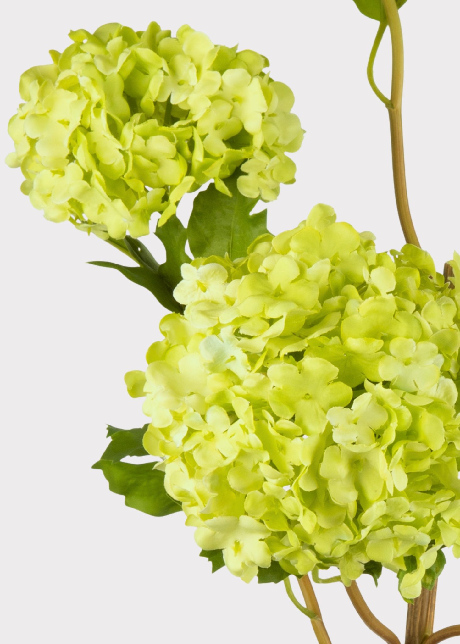 SAVE - Faux Flowers Snowball Flower Stem in Green - 43.5"