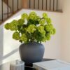 Lifelike Green Snowball Flower Stems, 43.5