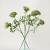 Lifelike Queen Anne's Lace Faux Flower Arrangement, 36 Inch Artificial Flowers for Living Room, Elegant Fall Decor, No Watering Needed