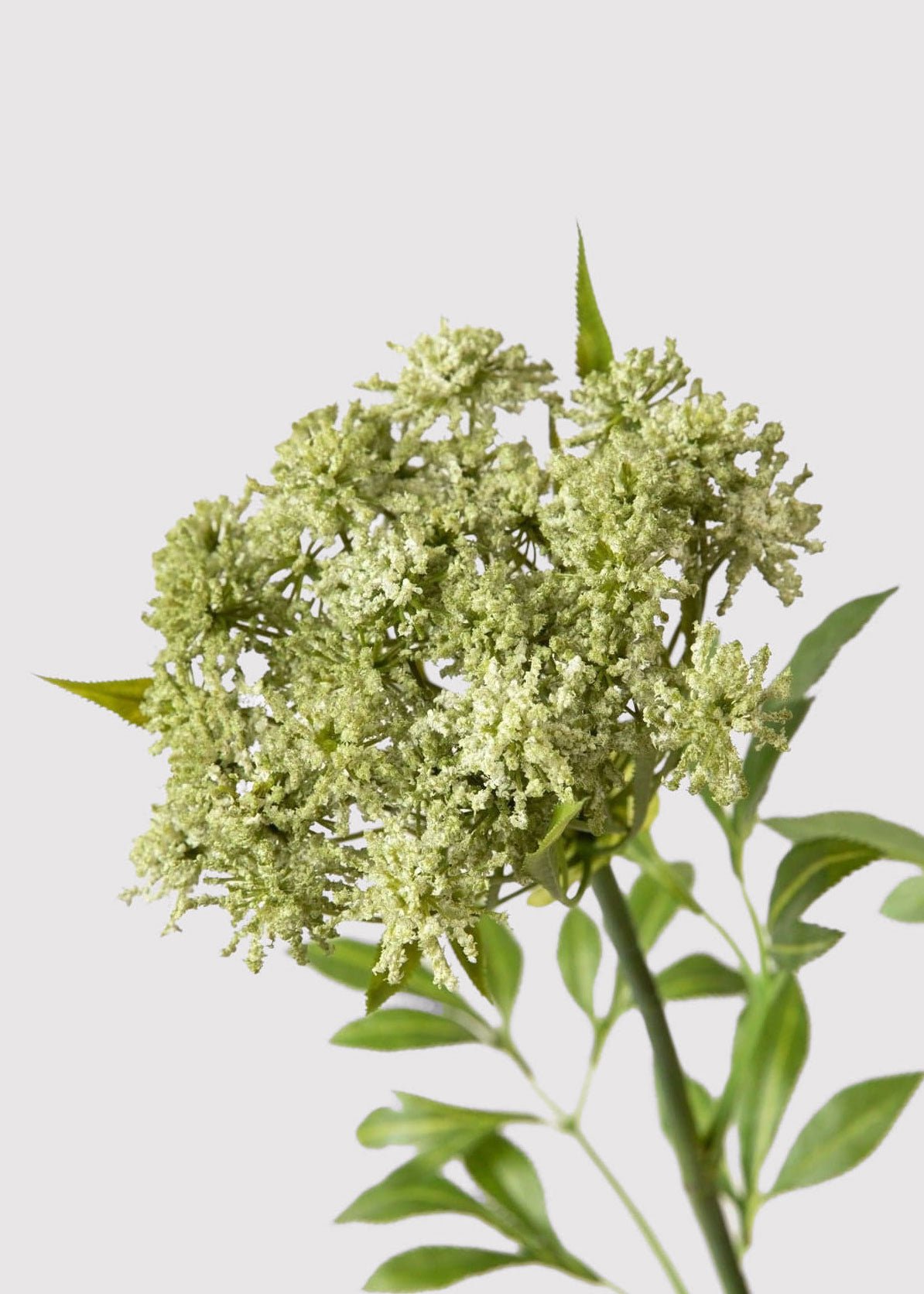 Lifelike Queen Anne's Lace Faux Flower Arrangement, 36 Inch Artificial Flowers for Living Room, Elegant Fall Decor, No Watering Needed