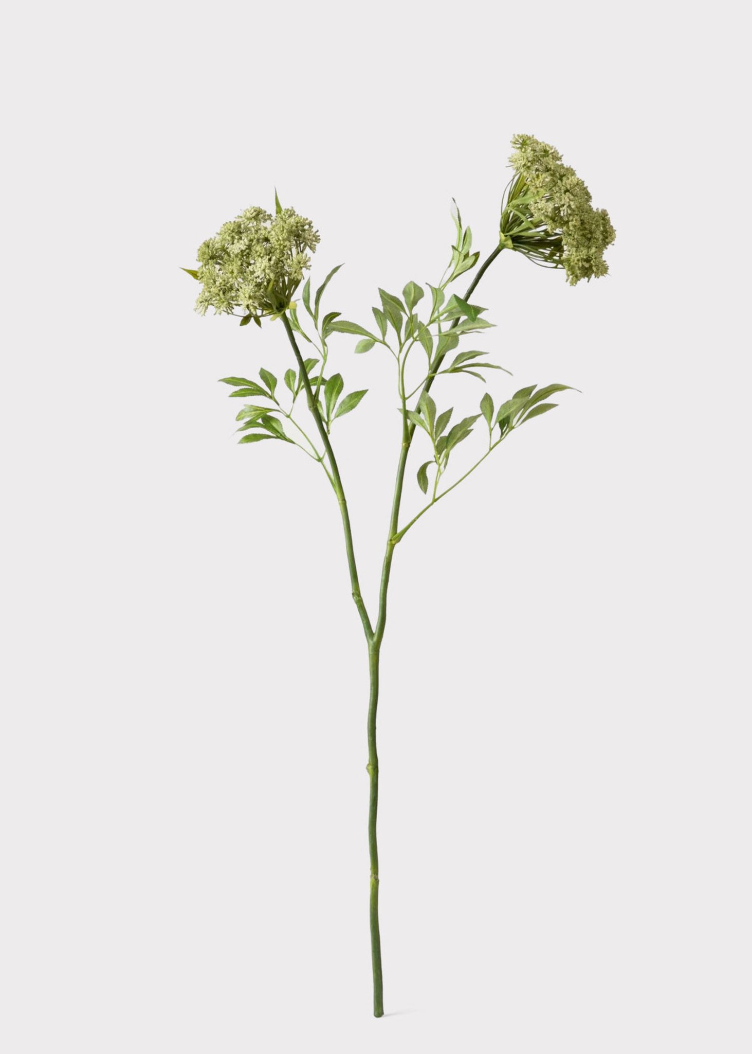 Lifelike Queen Anne's Lace Faux Flower Arrangement, 36 Inch Artificial Flowers for Living Room, Elegant Fall Decor, No Watering Needed