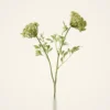Lifelike Queen Anne's Lace Faux Flower Arrangement, 36 Inch Artificial Flowers for Living Room, Elegant Fall Decor, No Watering Needed