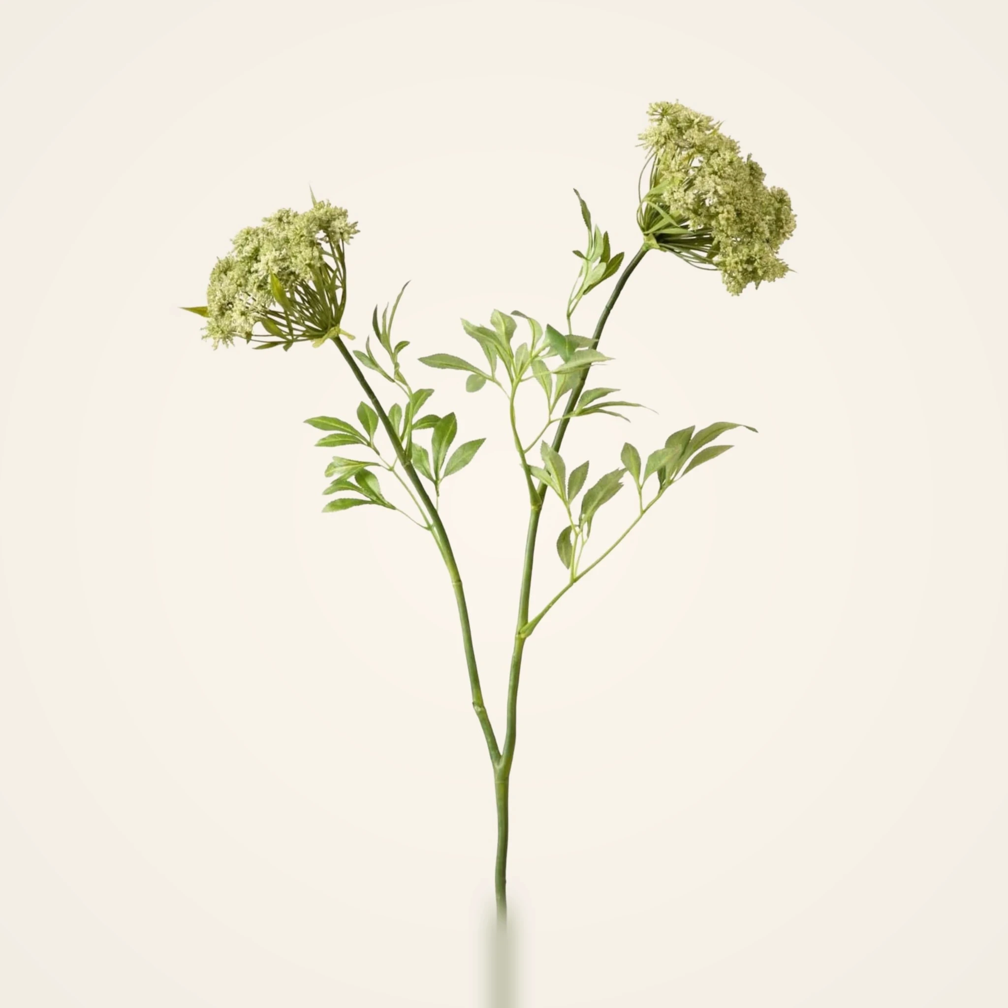Lifelike Queen Anne's Lace Faux Flower Arrangement, 36 Inch Artificial Flowers for Living Room, Elegant Fall Decor, No Watering Needed