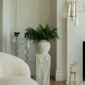 Lifelike Norfolk Pine Faux Floral Stems, 5 Artificial Greenery for Living Room Vase Not Included, Winter Decor No Watering Needed