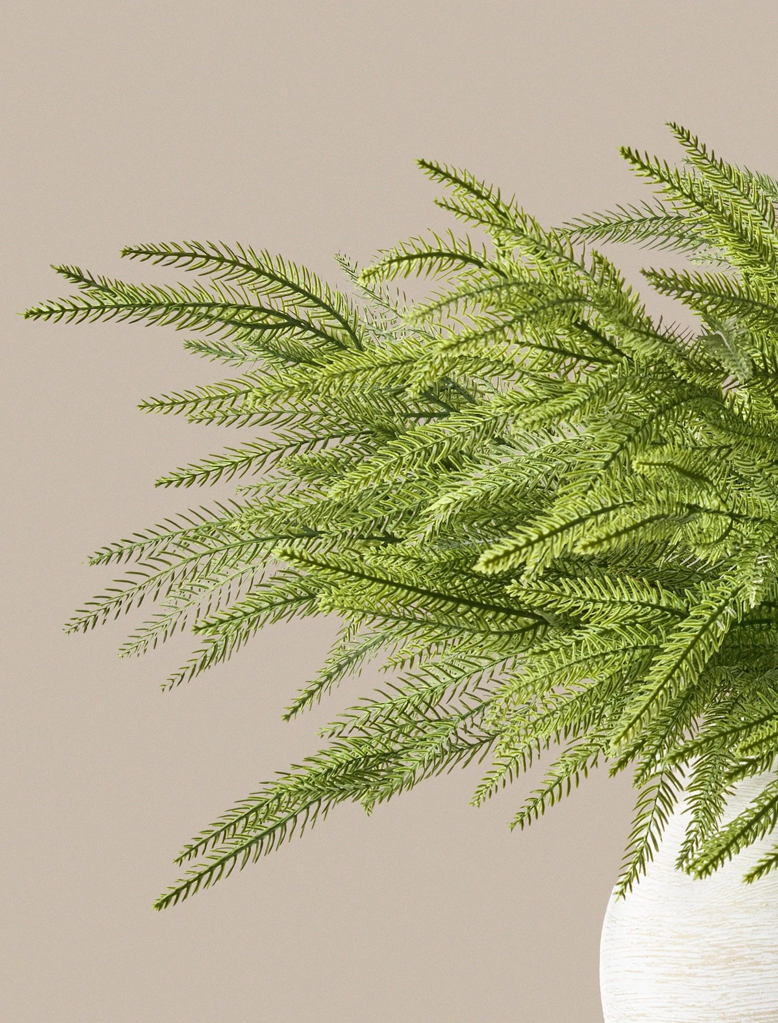 Lifelike Norfolk Pine Faux Floral Stems, 5 Artificial Greenery for Living Room Vase Not Included, Winter Decor No Watering Needed