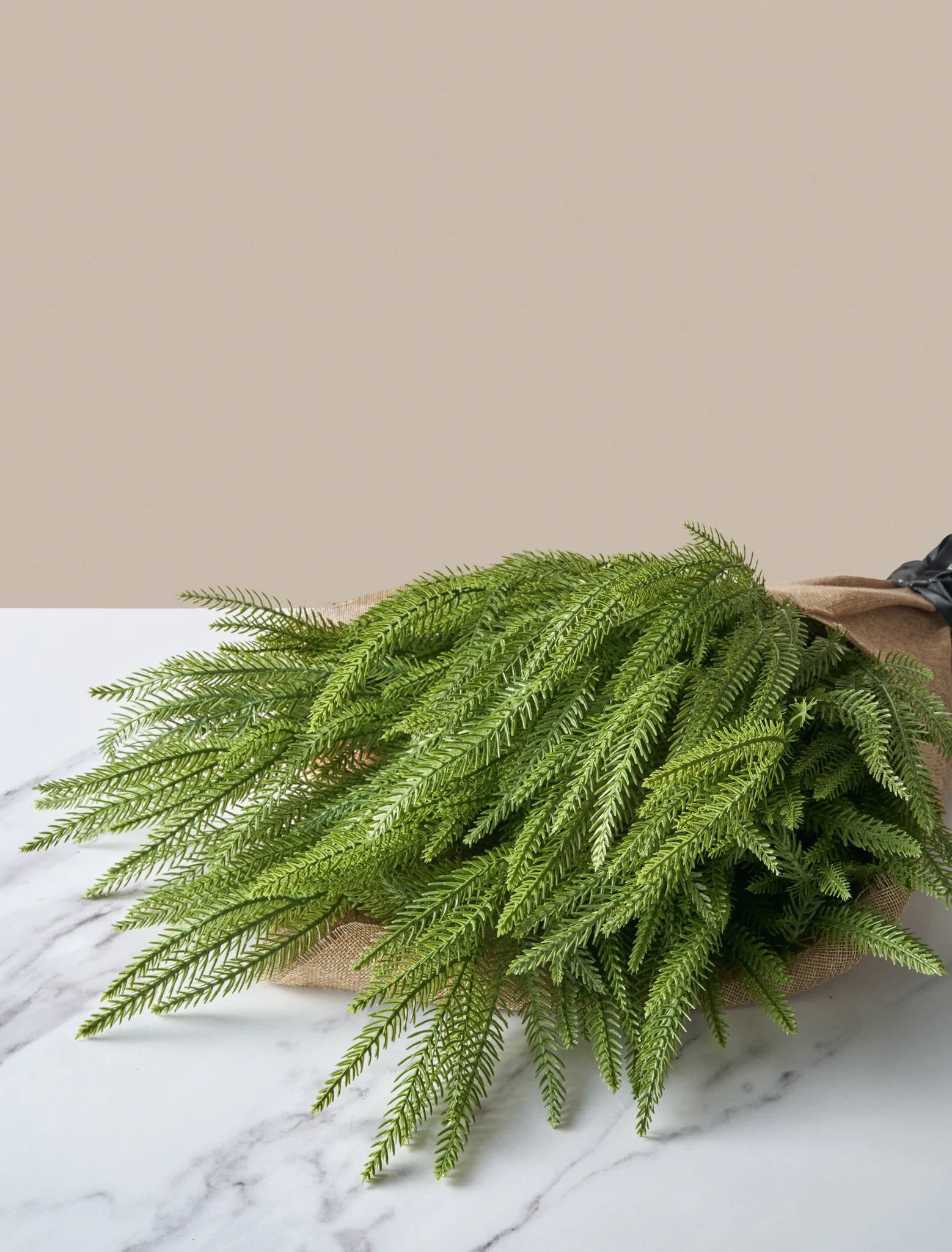 Lifelike Norfolk Pine Faux Floral Stems, 5 Artificial Greenery for Living Room Vase Not Included, Winter Decor No Watering Needed