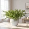 Lifelike Norfolk Pine Faux Floral Stems, 5 Artificial Greenery for Living Room Vase Not Included, Winter Decor No Watering Needed