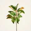 Lifelike Green Magnolia Faux Floral Stems, 41" Silk Branch for Spring Decor, No Watering Needed with Vase
