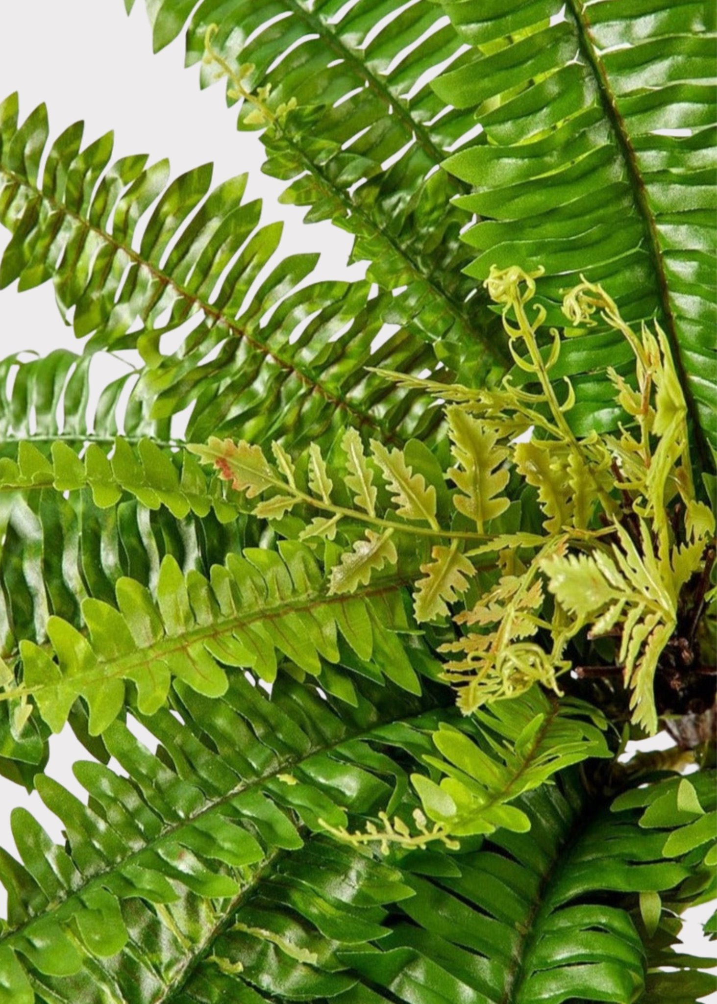 UV Resistant Indoor/Outdoor Fake Boston Fern Plant - 23"