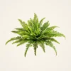 UV Resistant Boston Fern Artificial Plant, 23 Inch Green Indoor, Outdoor Potted for Living Room, No Watering Needed, Maintenance Free