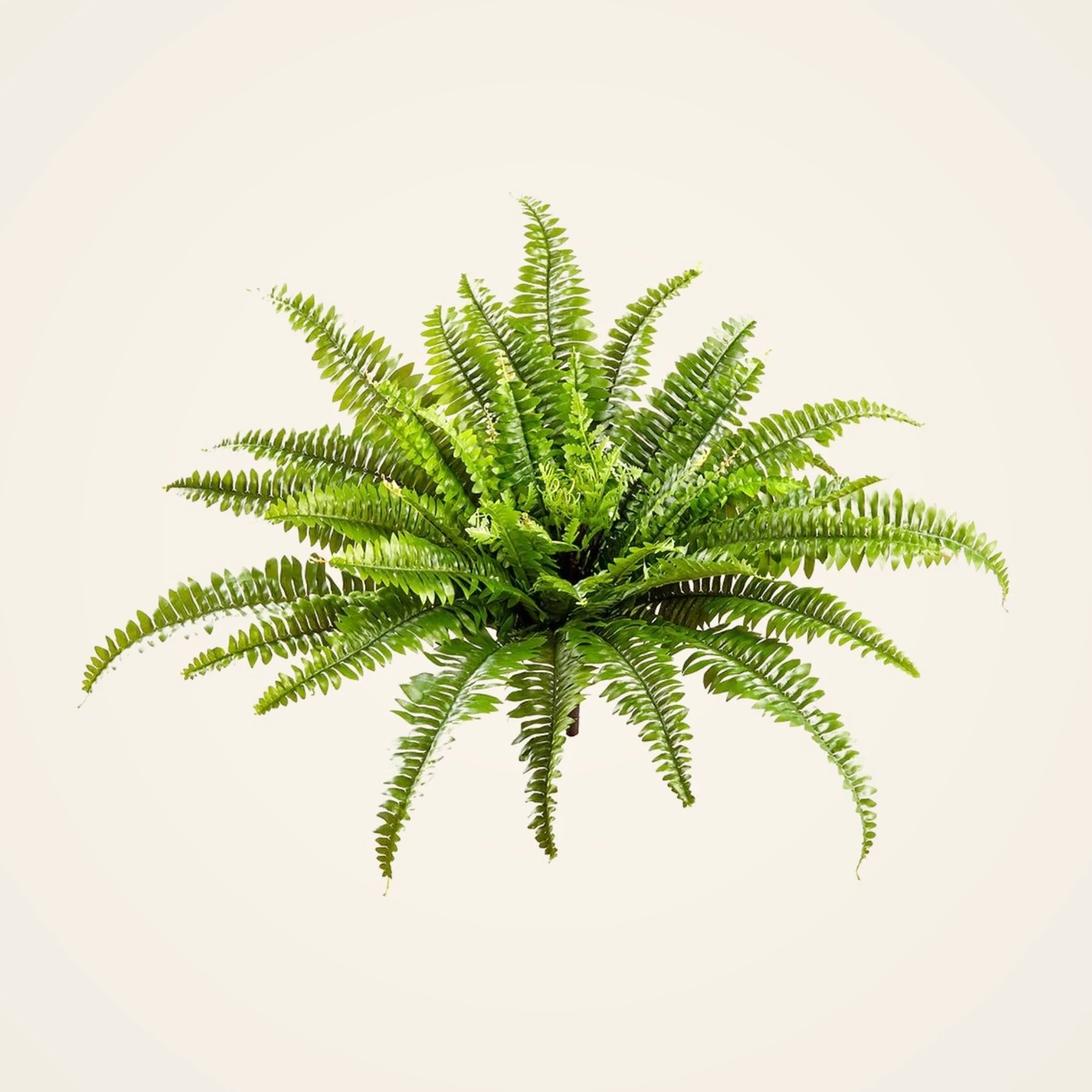 UV Resistant Boston Fern Artificial Plant, 23 Inch Green Indoor, Outdoor Potted for Living Room, No Watering Needed, Maintenance Free