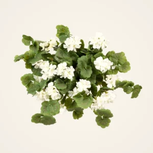 UV Treated White Geranium Artificial Plant, 27 Inch for Covered Outdoor Use, Elegant Fall Decor, No Watering Needed with Vase