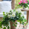 Lifelike White Geranium Faux Flower Bush, 18 Inch Artificial Plant for Outdoor Use, Water Resistant, Farmhouse Decor, No Watering Needed with Vase
