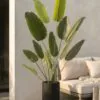 Lifelike Birds of Paradise Faux Tree, 71 Inch Artificial Plant for Indoor Outdoor Use, Waterproof UV Resistant, Maintenance Free Indoor Greenery