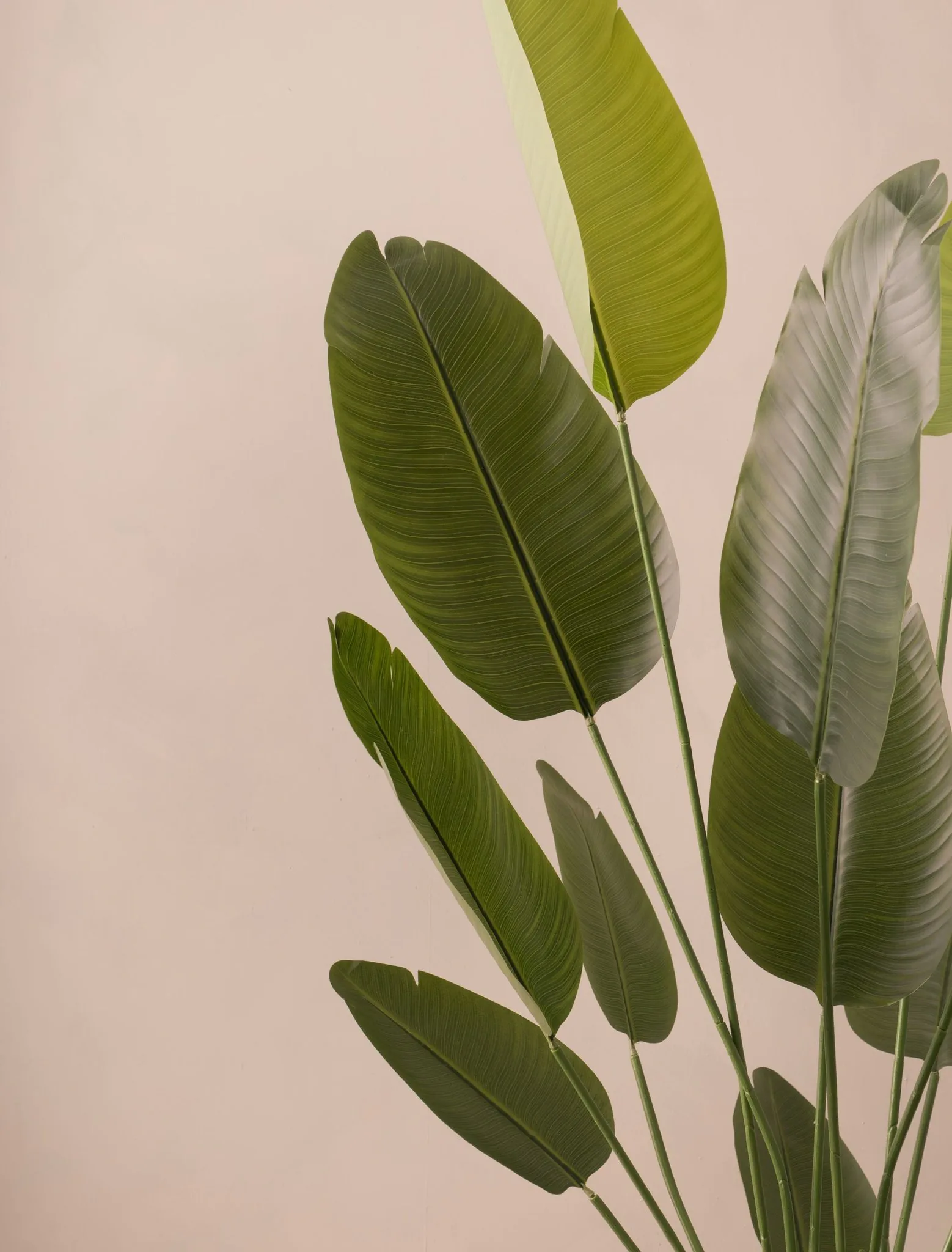 Lifelike Birds of Paradise Faux Tree, 71 Inch Artificial Plant for Indoor Outdoor Use, Waterproof UV Resistant, Maintenance Free Indoor Greenery