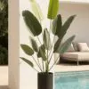 Lifelike Birds of Paradise Faux Tree, 71 Inch Artificial Plant for Indoor Outdoor Use, Waterproof UV Resistant, Maintenance Free Indoor Greenery