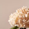 Lifelike Cream Hydrangea Faux Flower Arrangement, 4 Stems Dried Natural for Living Room, Fall Decor, No Watering Needed Vase Not Included
