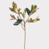 Lifelike Green Magnolia Faux Floral Stems, 37