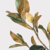 Lifelike Green Magnolia Faux Floral Stems, 37