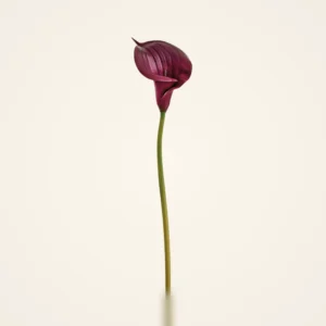 Real Touch Plum Purple Calla Lily Artificial Flower Arrangement, 33 Inch Silk Floral Centerpiece for Fall Decor, Wedding Bouquet, No Watering Needed